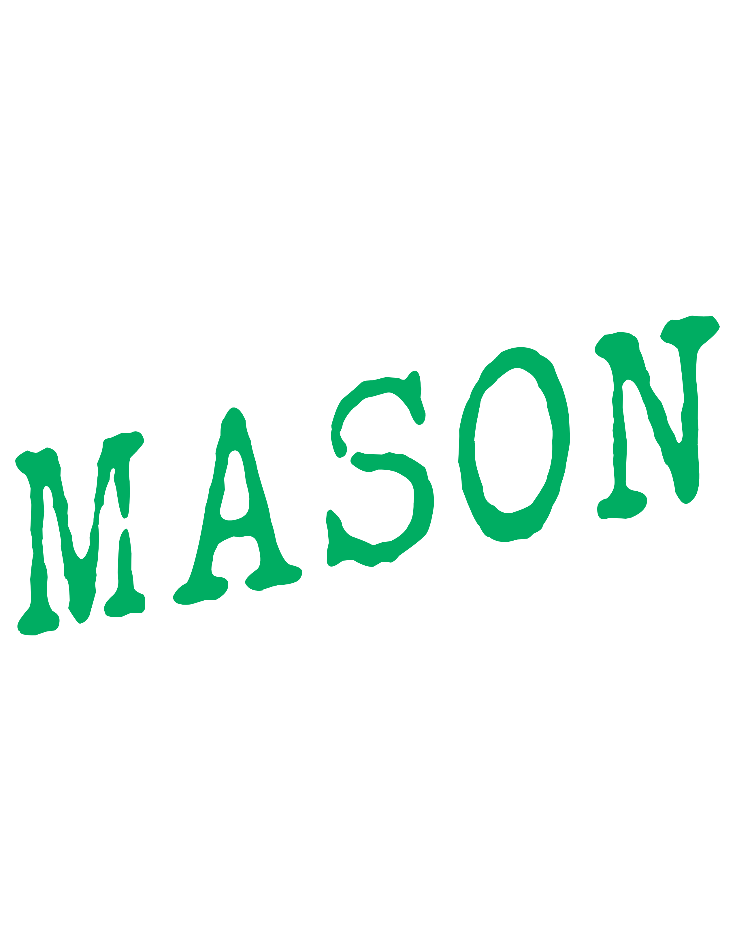 Mason 135 FF Fleece Opt.
